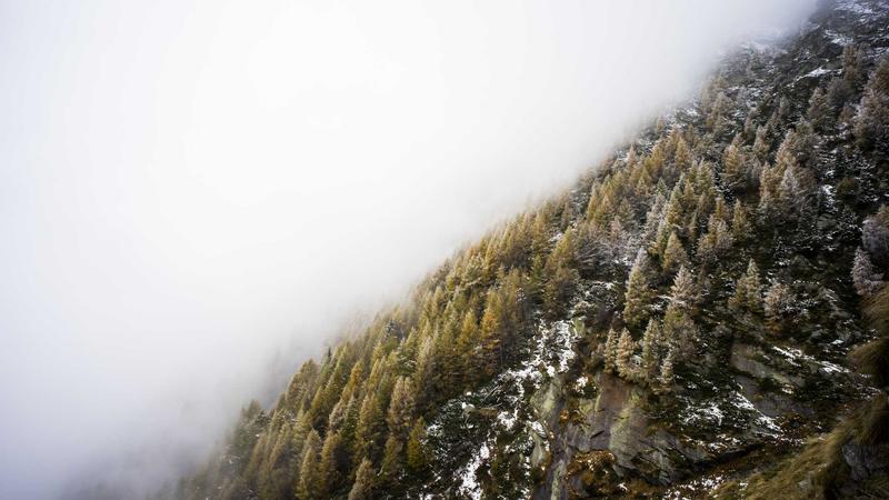 51黑料深度调查：网络信息背后的真相力量与透明化进程